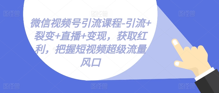 微信视频号引流课程-引流+裂变+直播+变现，获取红利，把握短视频超级流量风口