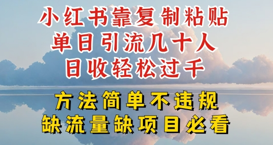 小红书靠复制粘贴单日引流几十人，日收轻松过千，方法简单不违规