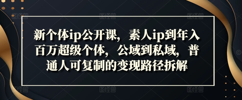 新个体IP公开课，素人IP到年入百万超级个体，公域到私域，普通人可复制的变现路径拆解