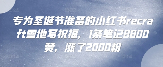 专为圣诞节准备的小红书RECRAFT雪地写祝福，1条笔记8800赞，涨了2000粉