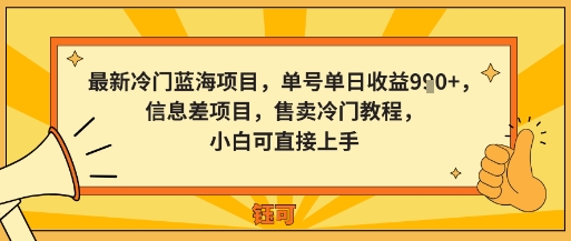 最新冷门蓝海项目，单号单日收益900+，信息差项目，售卖冷门教程，小白可直接上手
