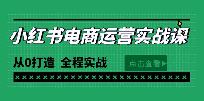 最新小红书·电商运营实战课，从0打造 全程实战（65节视频课）