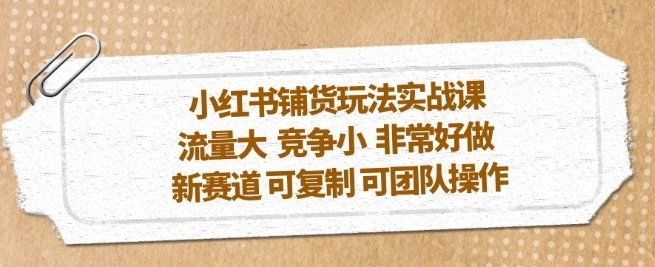 小红书铺货玩法实战课，流量大 竞争小 非常好做 新赛道 可复制 可团队操作