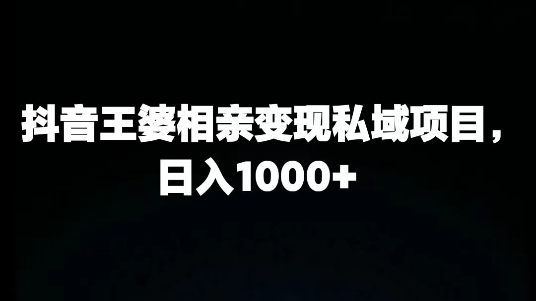 抖音王婆相亲变现私域项目，日入1000+