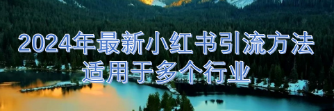 2024年最新小红书引流方法，日引50+，适用于多个行业