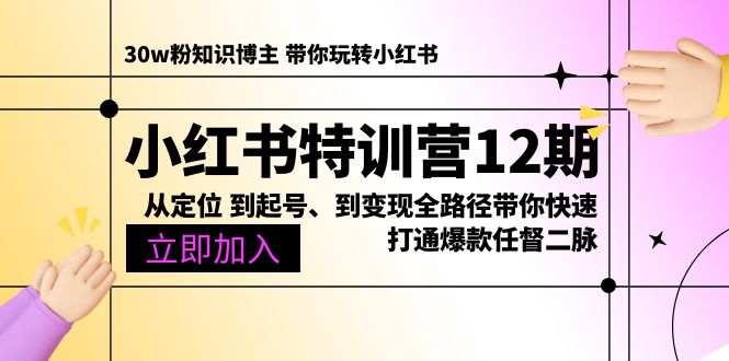 小红书特训营12期：从定位 到起号、到变现全路径带你快速打通爆款任督二脉