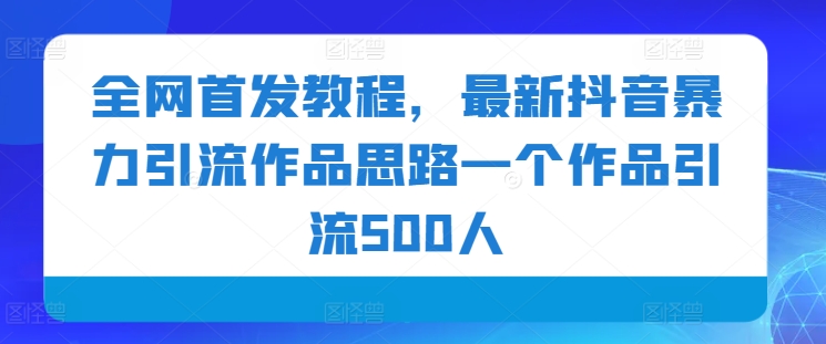 全网首发教程，最新抖音暴力引流作品思路一个作品引流500人