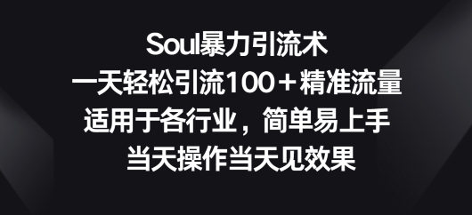 SOUL暴力引流术，一天轻松引流100＋精准流量，适用于各行业，简单易上手