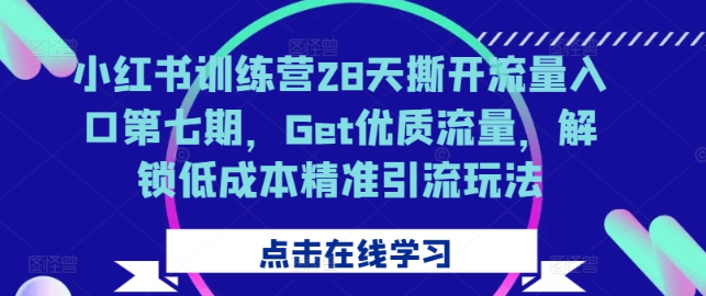 小红书训练营28天撕开流量入口第七期，GET优质流量，解锁低成本精准引流玩法