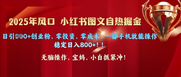 25年风口小红书图文掘金，日引300+创业粉，稳定日入800+，零投资、零成本、一部手机就能操作