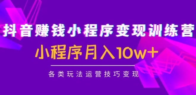 抖音赚钱小程序变现训练营：小程序月入10W+各类玩法运营技巧变现