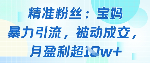 精准粉丝：宝妈暴力引流方法，被动成交，月盈利超10W+