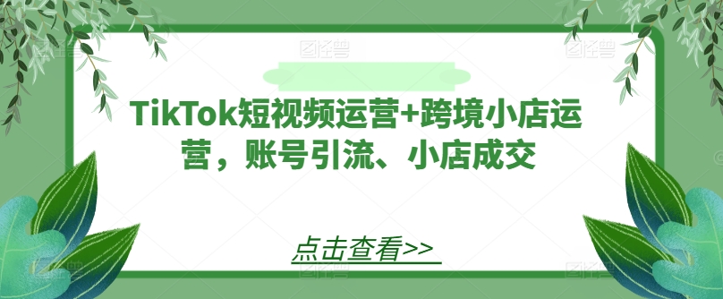 TIKTOK短视频运营+跨境小店运营，账号引流、小店成交