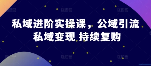 私域进阶实操课，公域引流 私域变现 持续复购