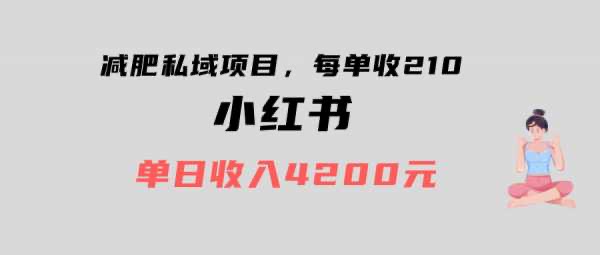 小红书减肥粉，私域引流项目，单日收入突破4200+，小白也能轻松上手