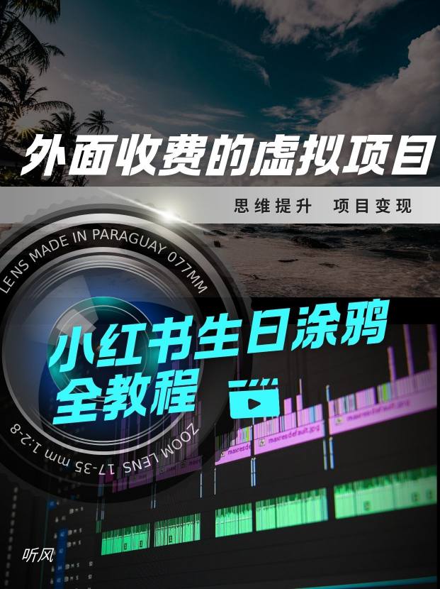 外面收费的小众虚拟项目，小红薯生日涂鸦，每日50-200+