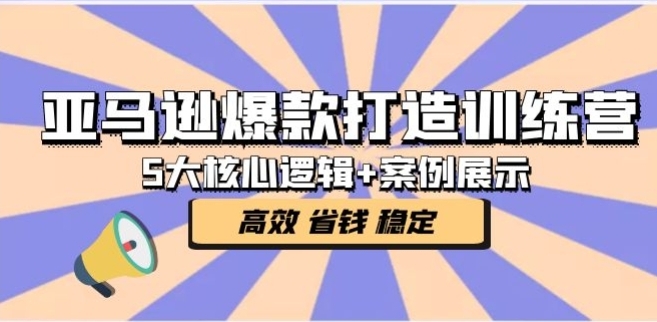 亚马逊爆款打造训练营：5大核心逻辑+案例展示 打造爆款链接 高效 省钱 稳定