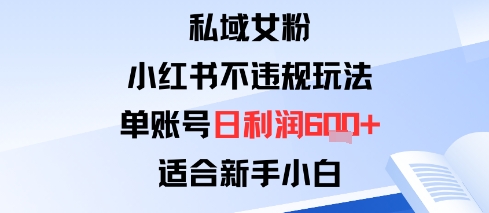 私域女粉：小红书平台不违规玩法单账号日利润600+，适合新手小白