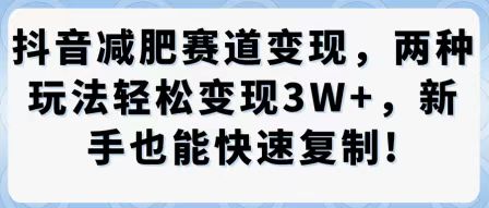 抖音减肥赛道变现，两种玩法轻松变现3W+，新手也能快速复制