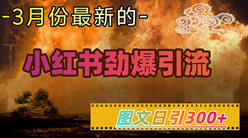 小红书超劲爆引流手段，图文日引300+轻松变现10000+