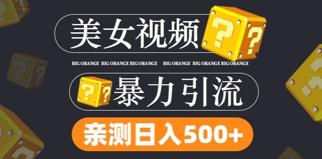 搬运TK美女视频全网分发，日引S粉300+，轻松变现，不限流量不封号