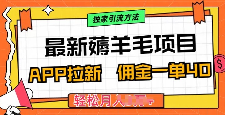 最新薅羊毛项目，利用购物APP拉新，佣金一单40.配合独家引流方法