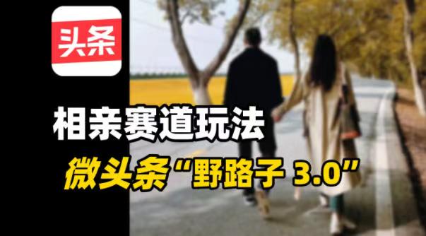 微头条“野路子3.0”相亲赛道玩法，搬砖式操作单号稳定300+