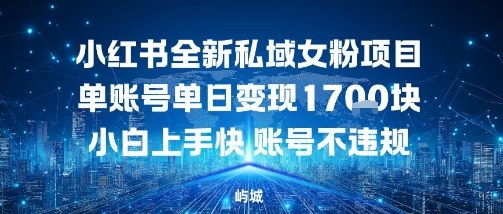 小红书全新私域女粉项目单账号单日变现1700+，小白上手快账号不违规建议准备多账号操作