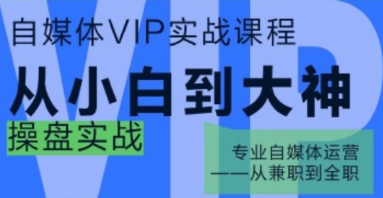 好学微客3980元自媒体VIP课程从小白到大神操盘实战课程