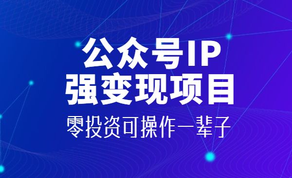 公众号IP强变现项目，零投资可操作一辈子 海报 公众号IP强变现项目