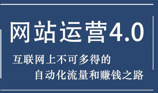 网站运营与盈利 实现流量与盈利自动化的赚钱之路【价值2970元】