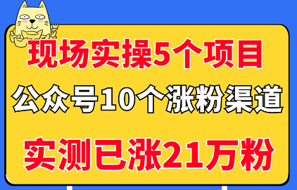 黄一恒–实操5个公众号项目，10个涨粉渠道，实测已涨21万粉！