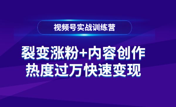 张萌视频号实战训练营，裂变涨粉、内容创作、热度过万快速变现（价值298元））