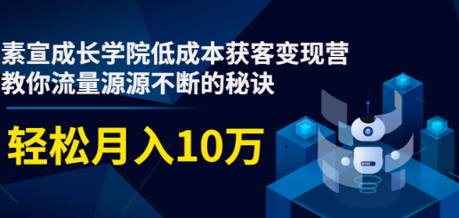 低成本获客变现营，教你流量源源不断的秘诀，轻松月入10万