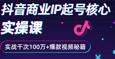 [某音运营] 某音商业IP起号核心实操课，带你玩转算法，流量，内容，架构，变现