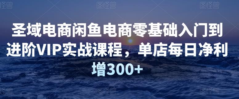 圣域电商闲鱼电商零基础入门到进阶VIP实战课程，单店每日净利增300+