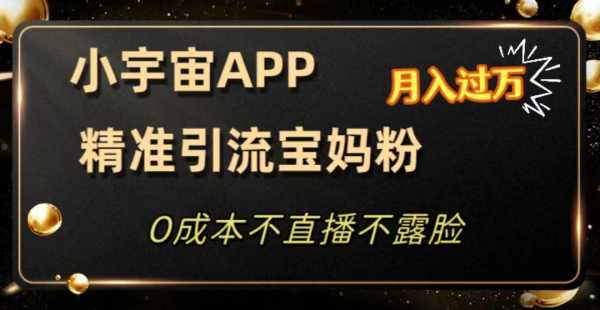 冷门项目，小宇宙APP，精准引流宝妈粉，结合私域轻松变现（附资料）