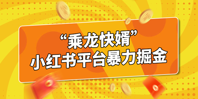 全网首发“乘龙快婿”小红书平台暴力掘金，网络长青创业项目，每天两小时，月入10万＋