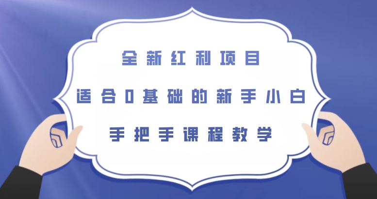 全新红利项目，适合0基础的新手小白，手把手课程教学