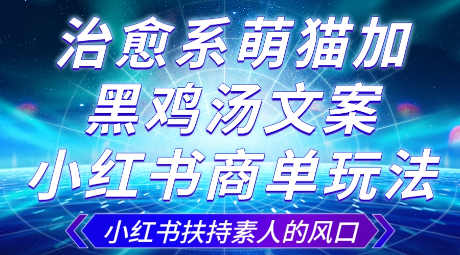 治愈系萌猫加+黑鸡汤文案，小红书商单玩法，3~10天涨到1000粉，一单200左右