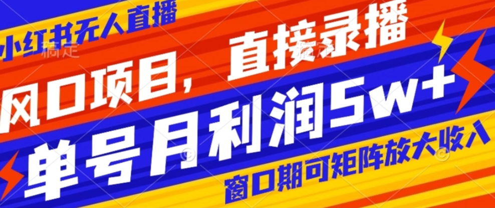 风口项目，小红书无人直播带货，直接录播，可矩阵，月入5W+