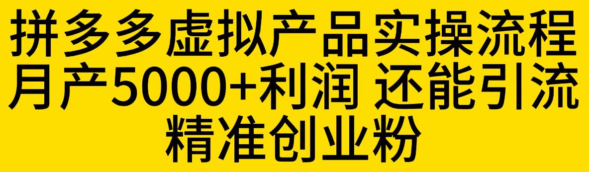 拼多多虚拟产品实操流程，月产5000+利润，还能引流精准创业粉【揭秘】