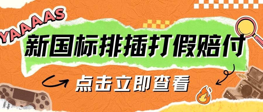 新国标排插打假赔付玩法详细解析，一单利润五百（详细教程）-明哥网创资源