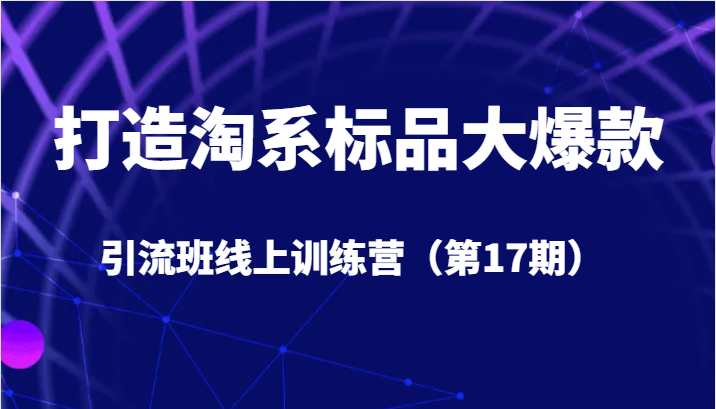 打造淘系标品大爆款引流班线上训练营（第17期）5天直播授课