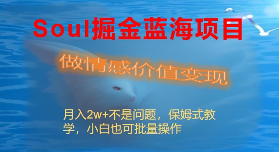 SOUL掘金蓝海项目细分赛道，做情感价值变现，月入2W+不是问题