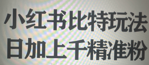 小红书比特费号流玩法，轻松日加1000粉